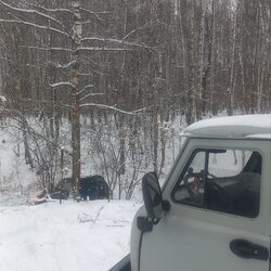 photo_2_2026-02-18_20-31-46