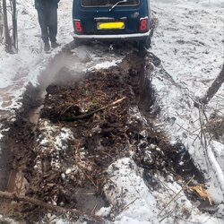 photo_7_2026-02-18_20-31-46