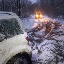 photo_4_2026-02-18_20-53-25